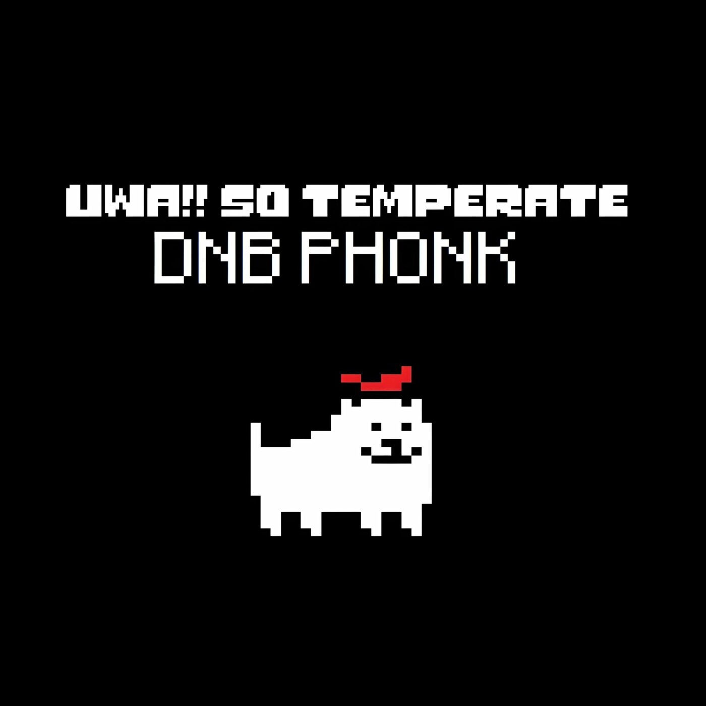 Uwa!! So Temperate DNB PHONK