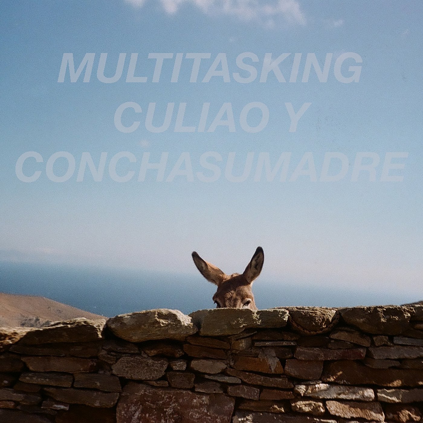 Culiao y Conchasumadre