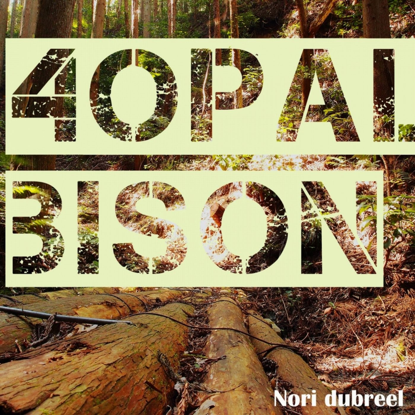4 Opal / Bison Voice