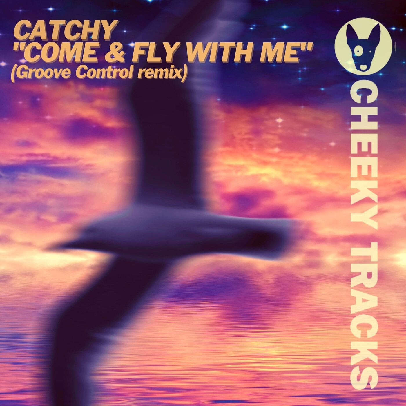 Come & Fly With Me (Groove Control remix)