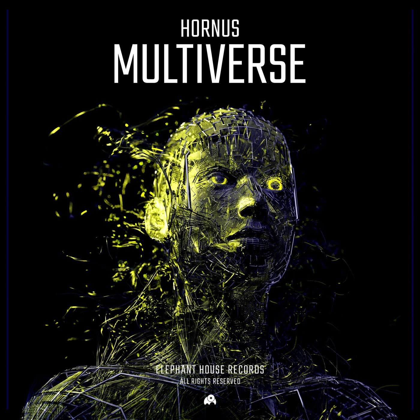 Multiverse