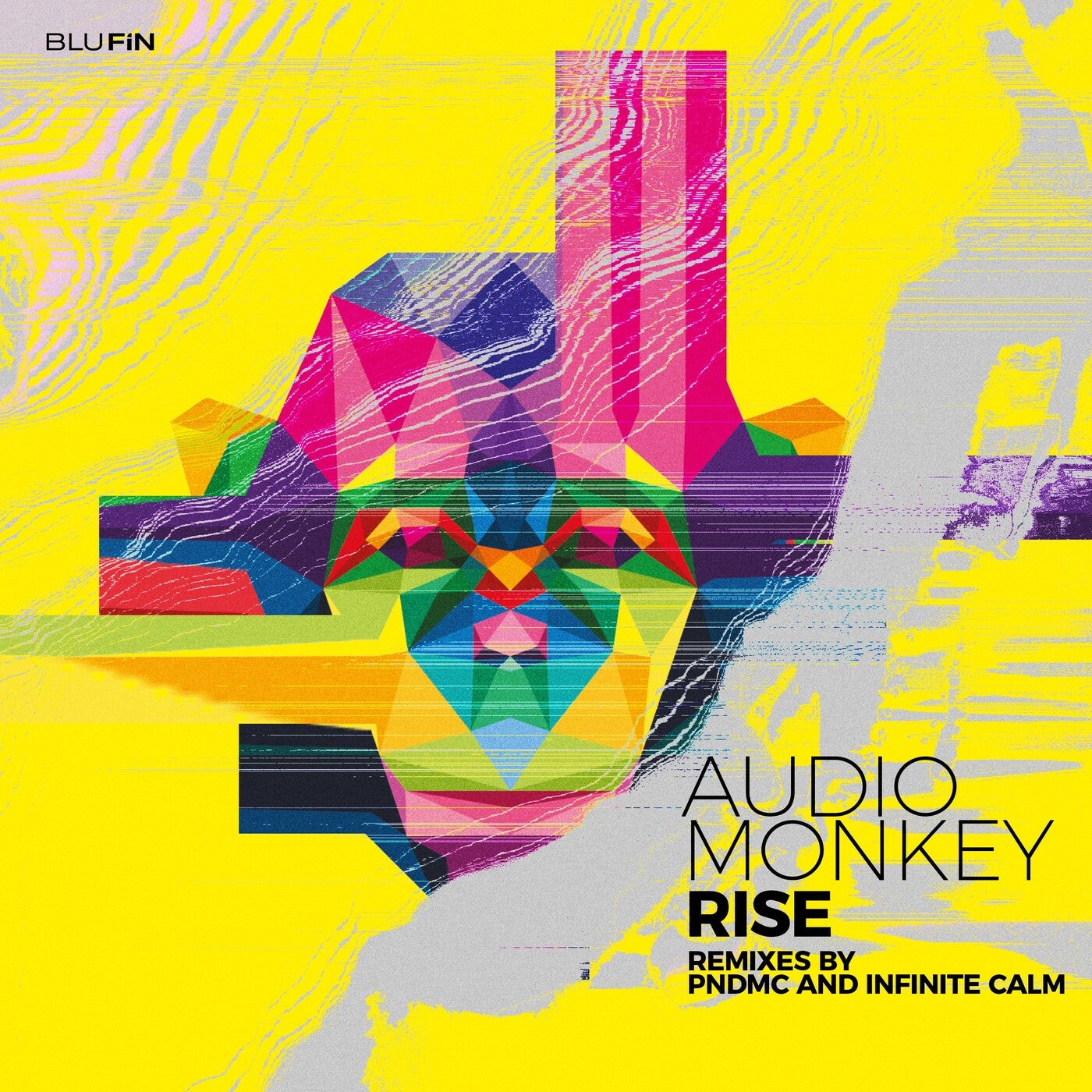 Rise (The Remixes)
