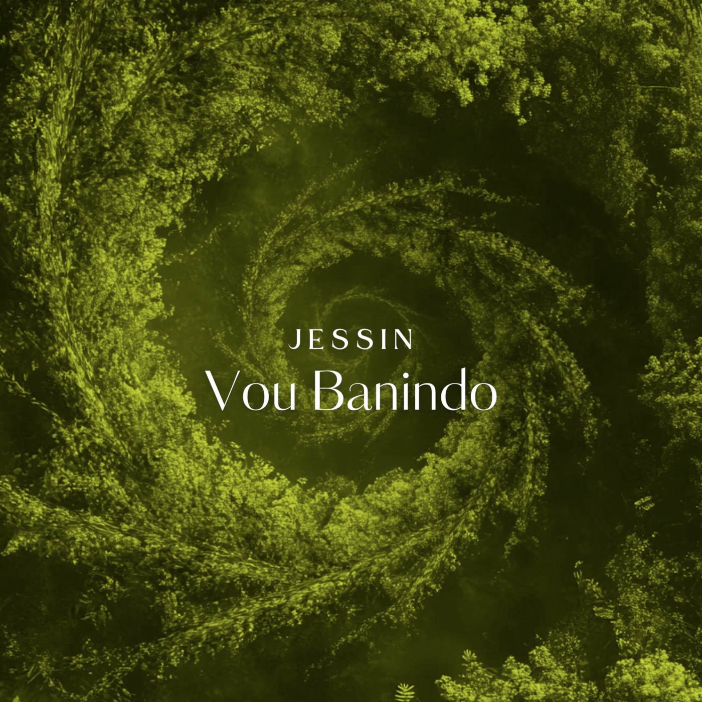 Claudiney Prieto, Jessin Vou Banindo (feat. Claudiney Prieto) [Music