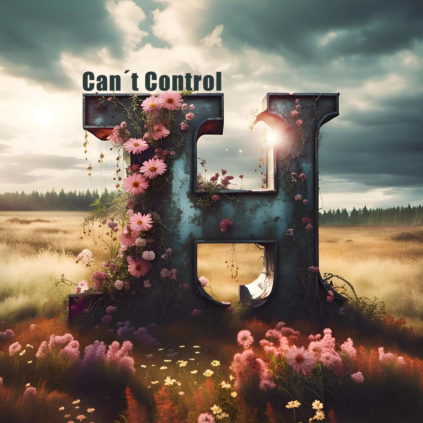 Can´t Control
