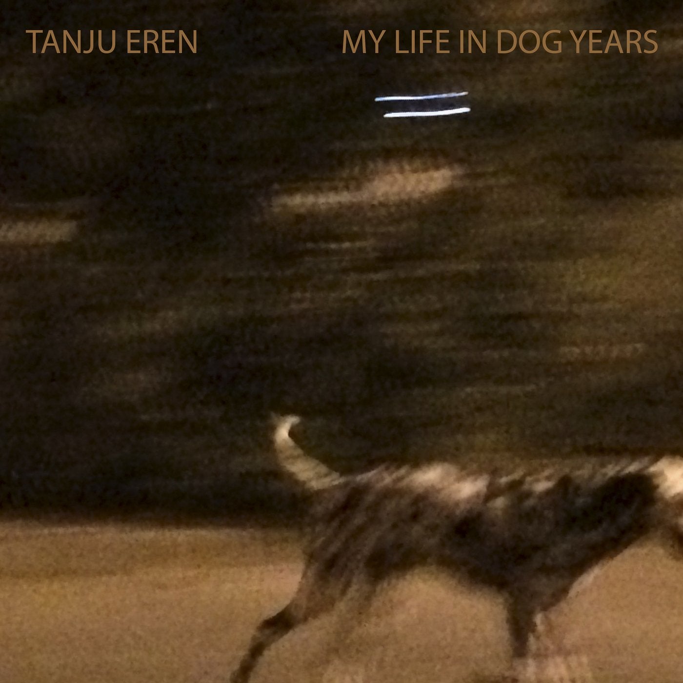 My Life in Dog Years