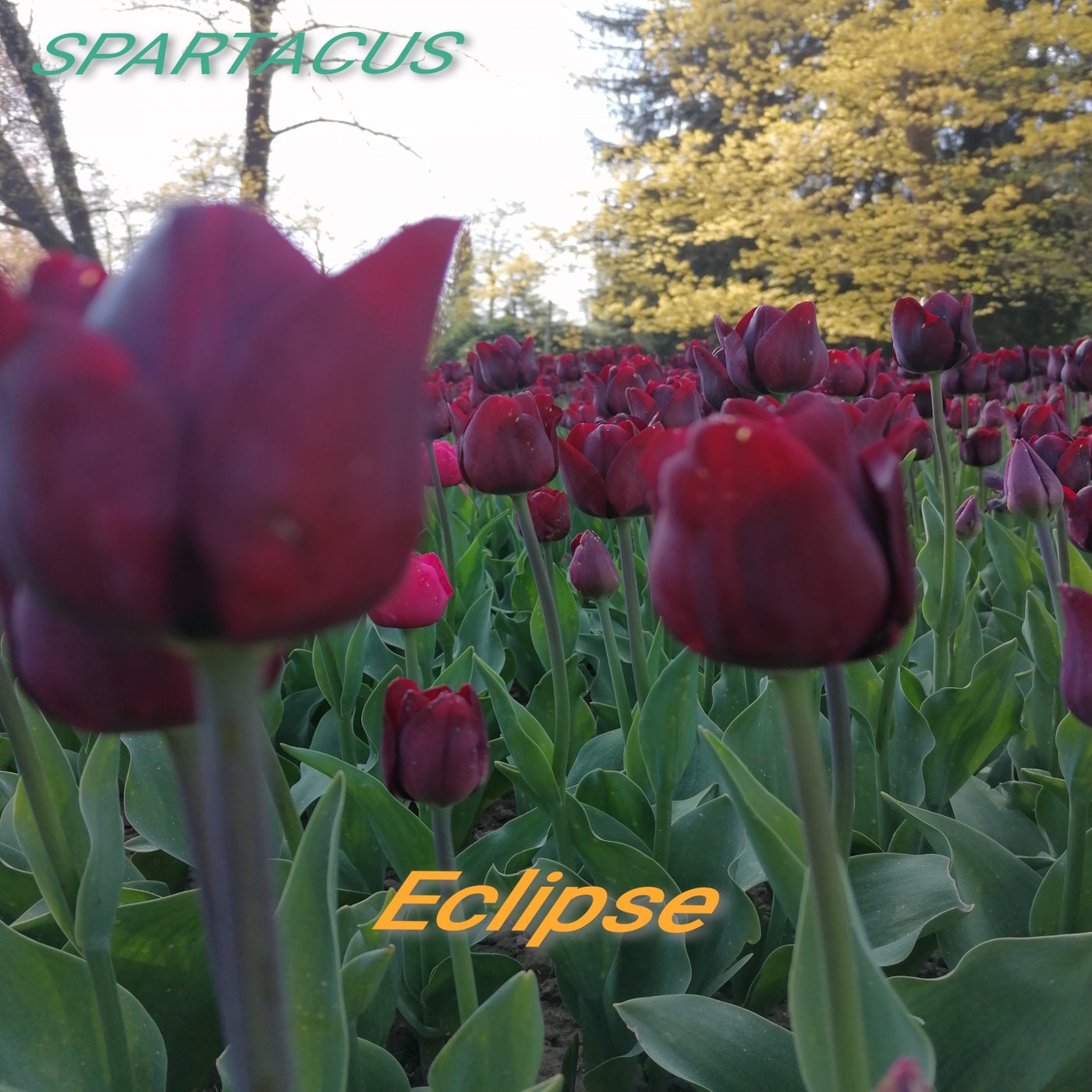 Eclipse