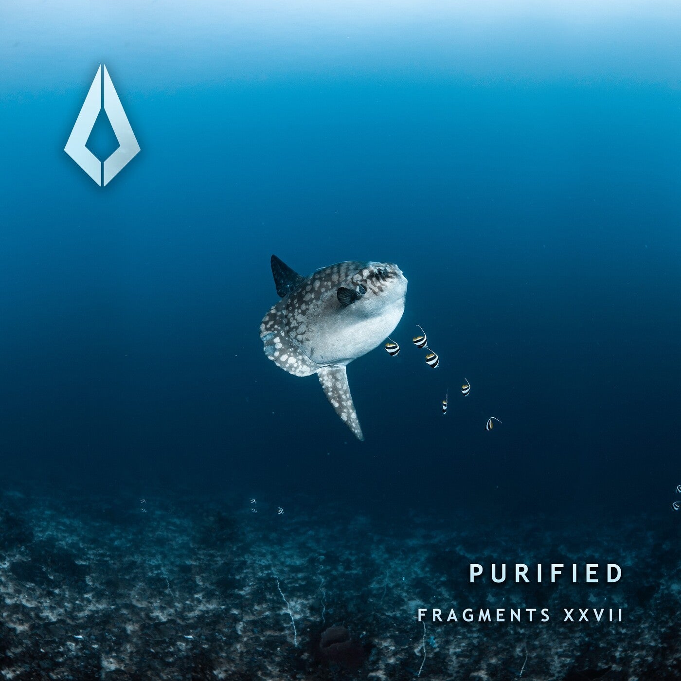 Cover art for Fragments XXVII
