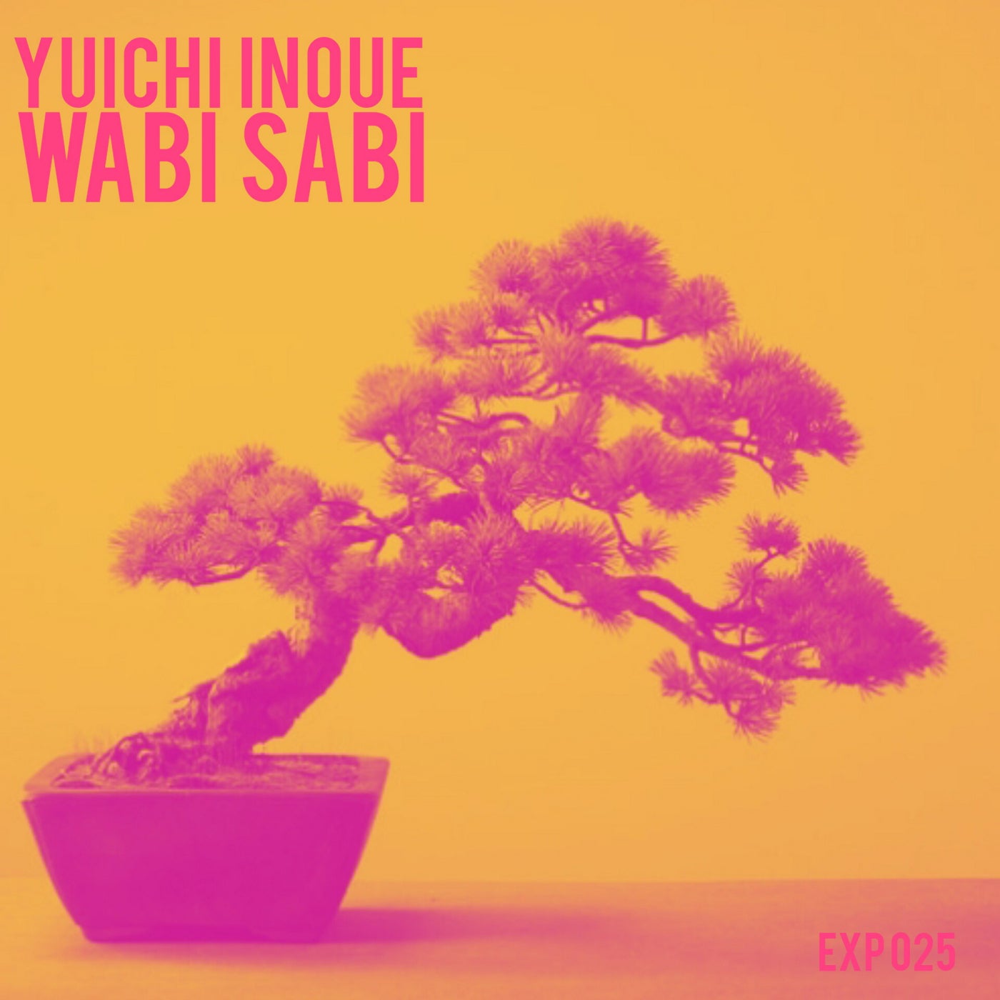 Wabi Sabi