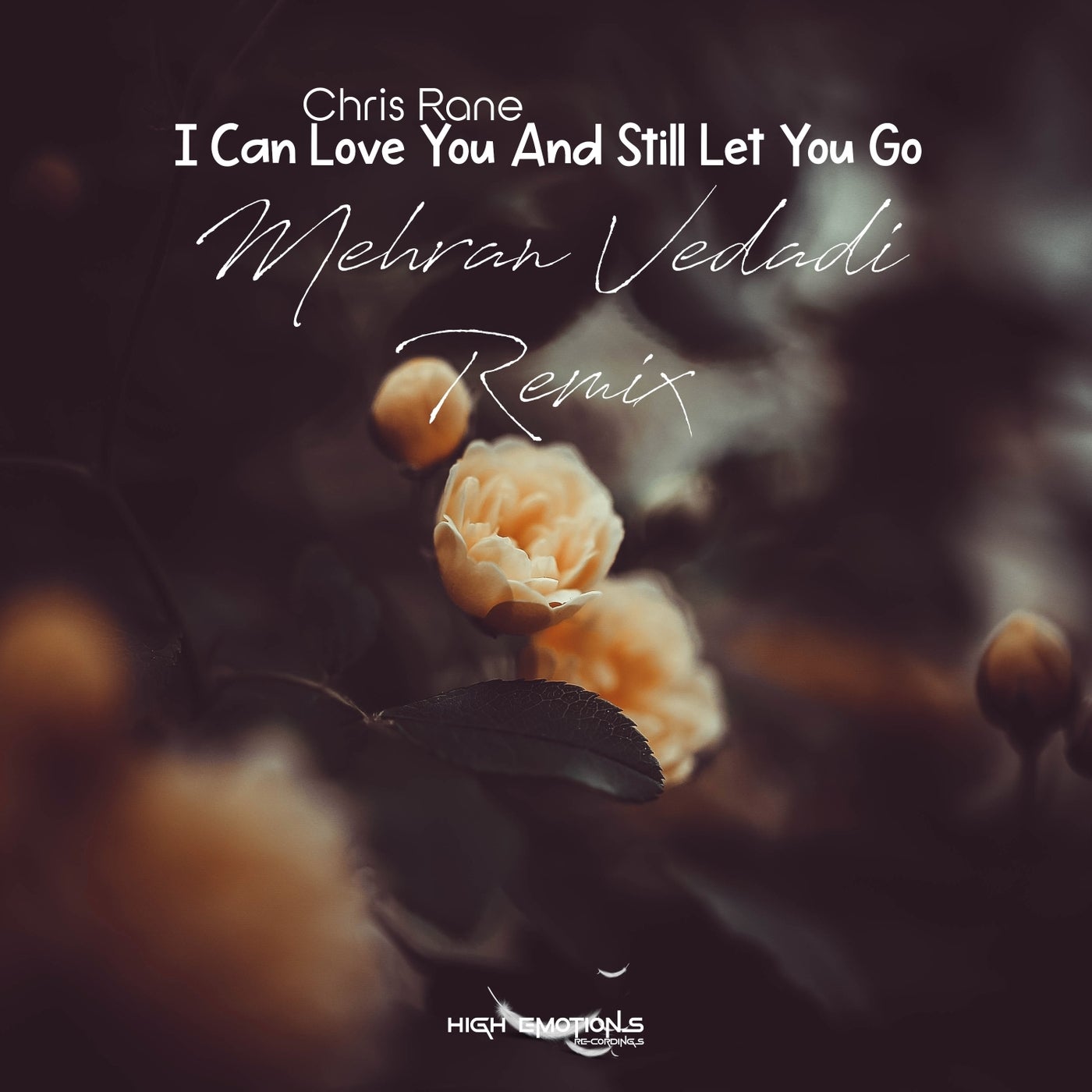 I Can Love You and Still Let You Go (Mehran Vedadi Remix)