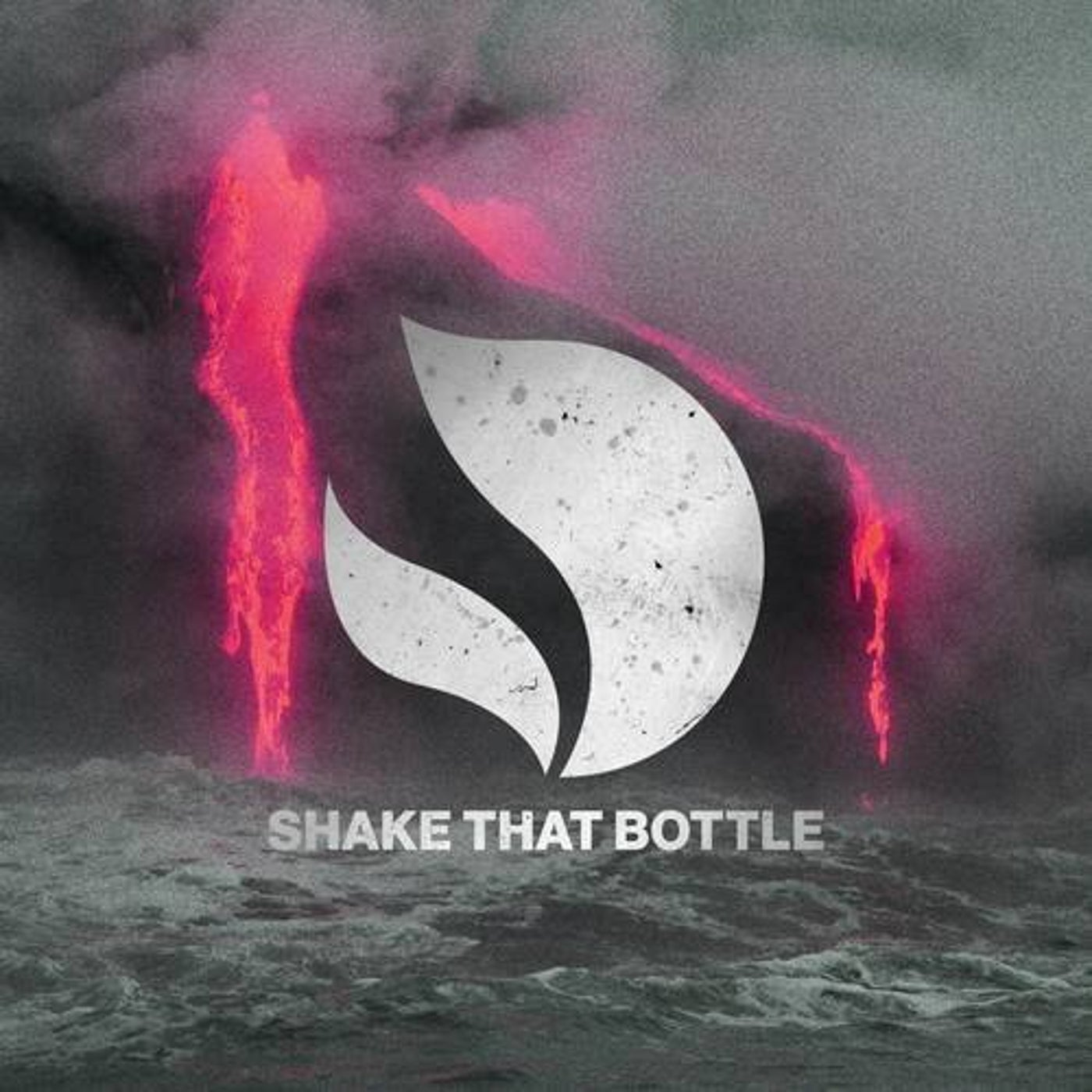 Shake That Bottle (Extended Mix)