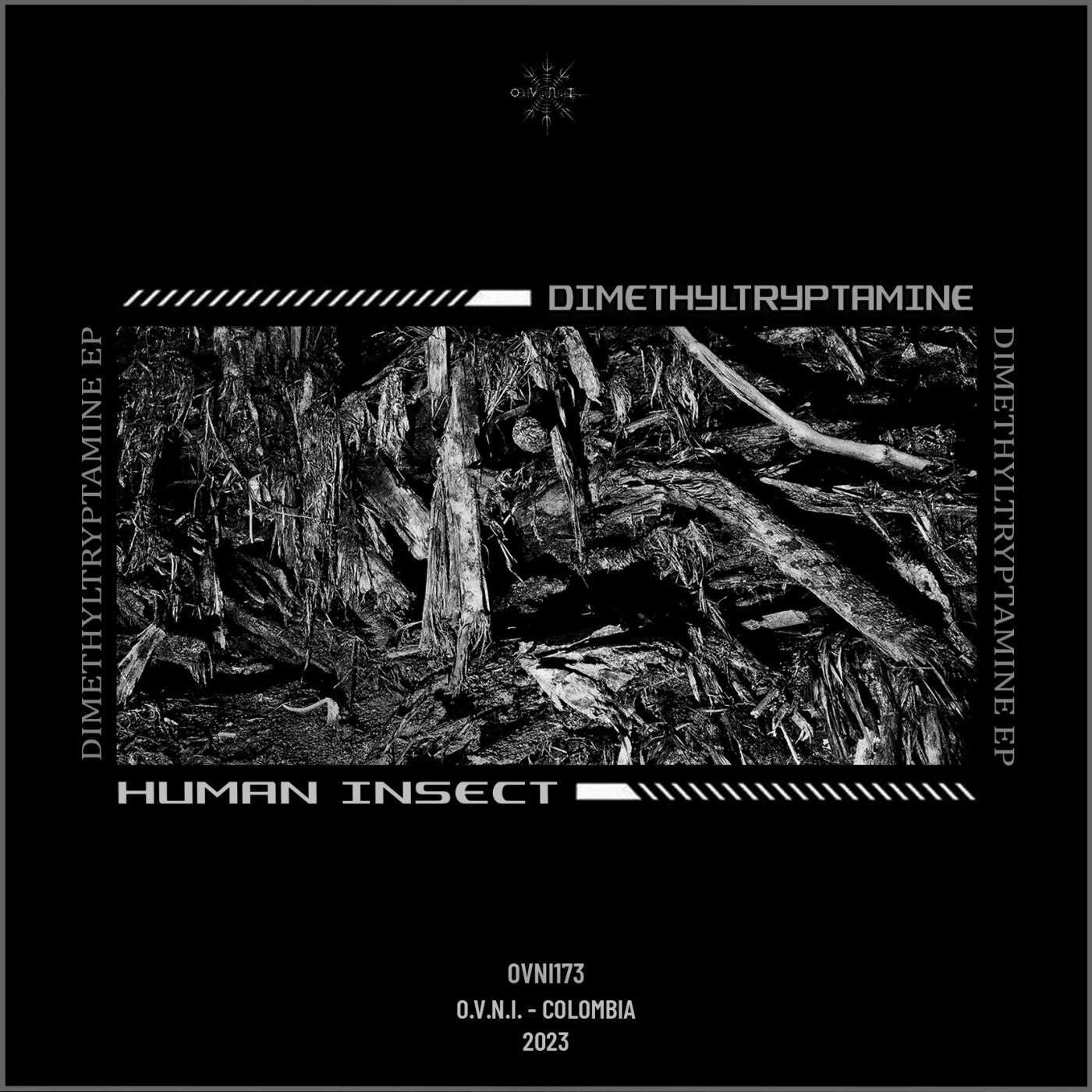 Dimethyltryptamine EP