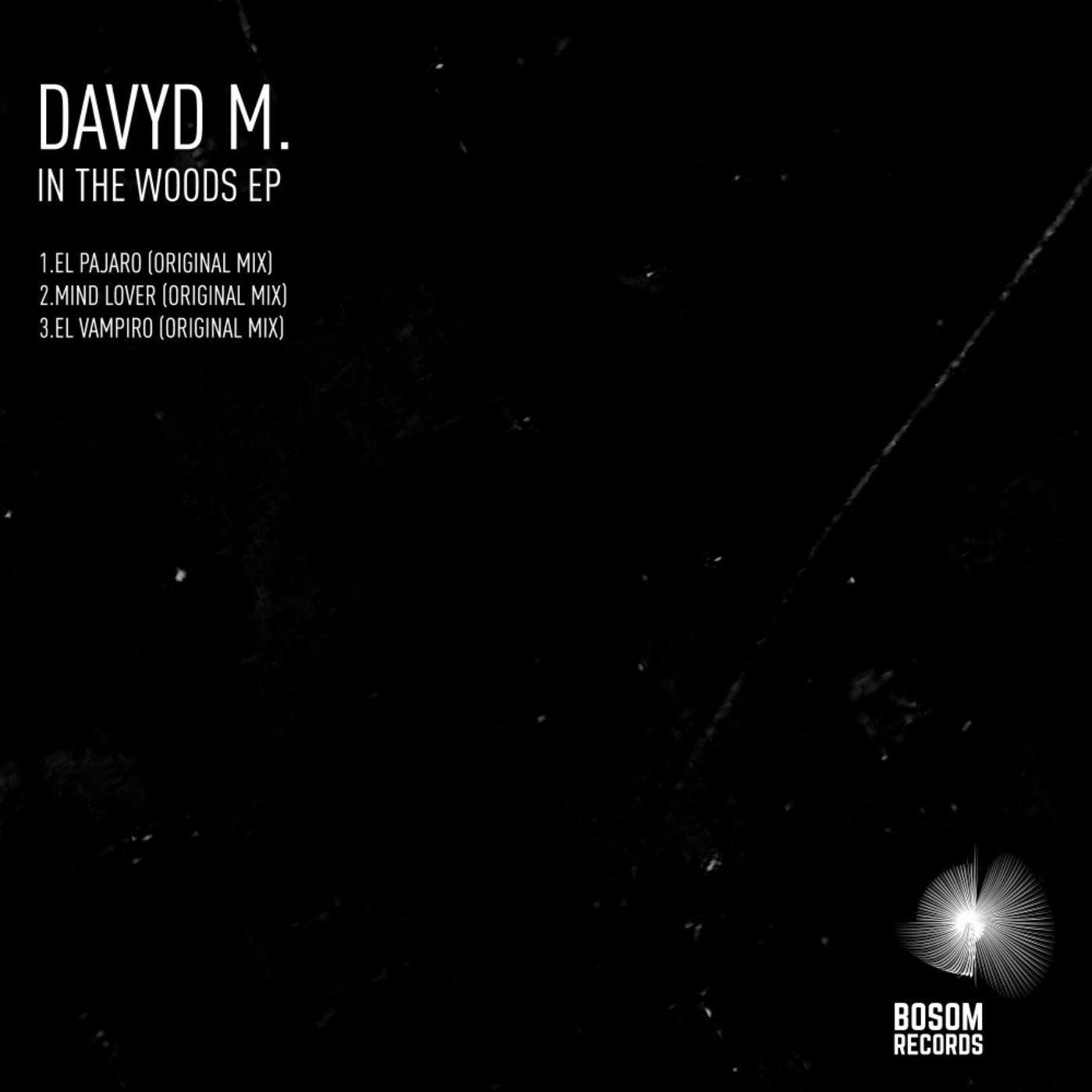 In The Woods EP