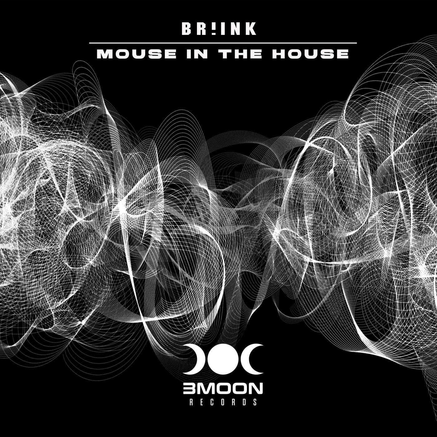 Mouse in the House