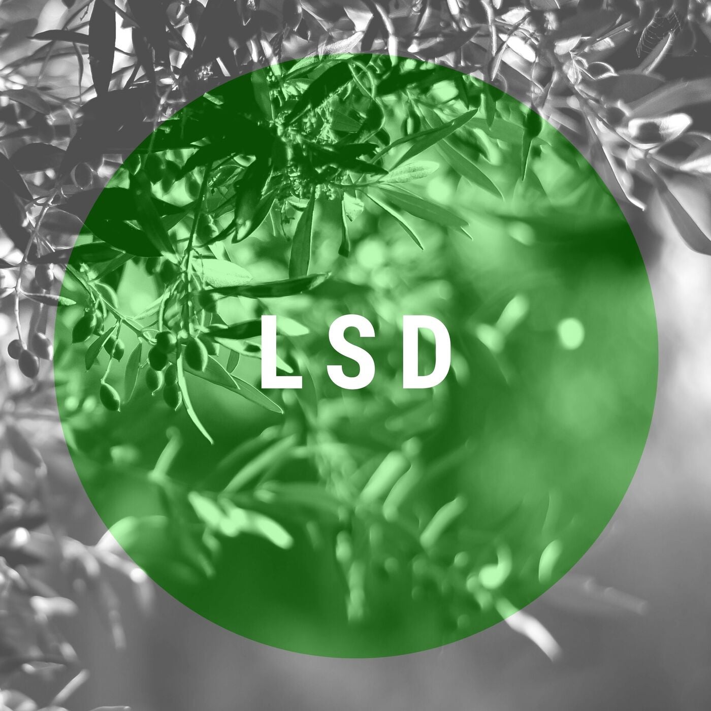 LSD