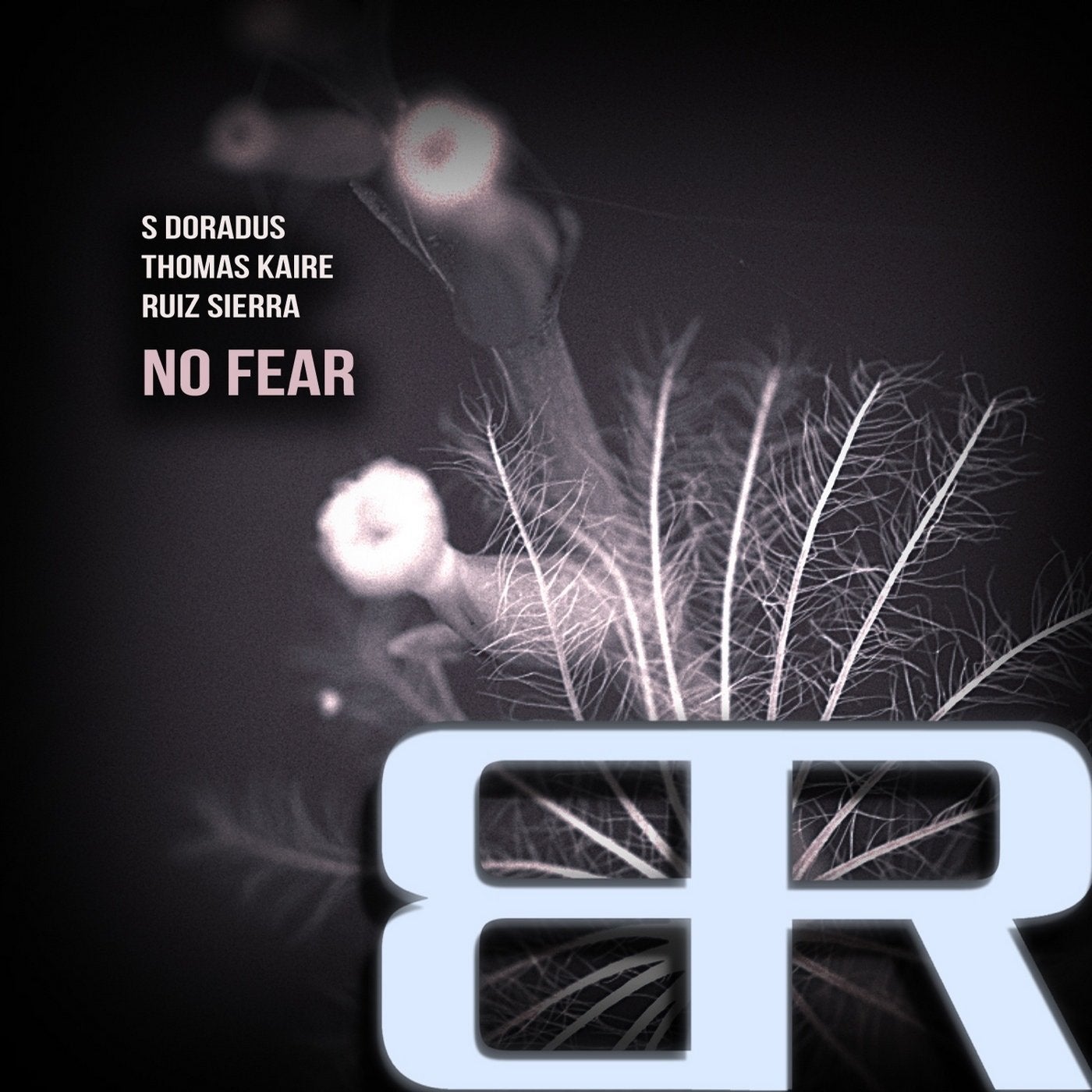 No Fear