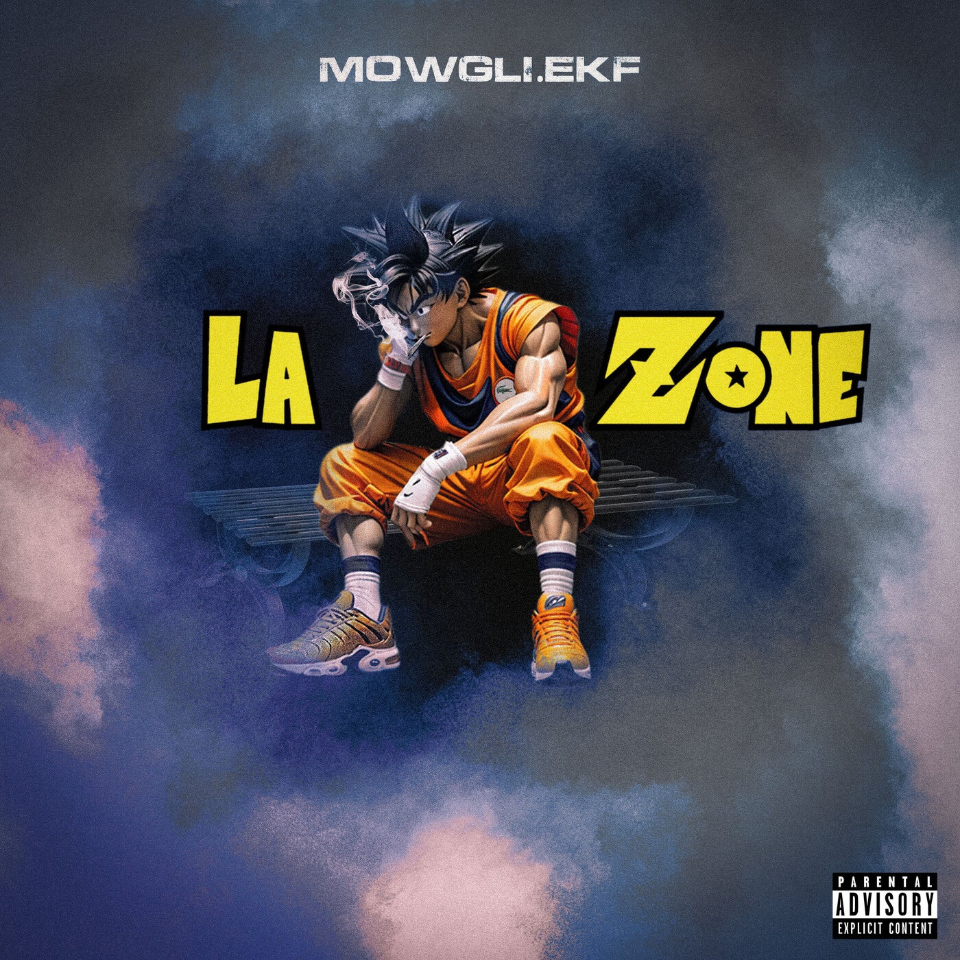 LA ZONE