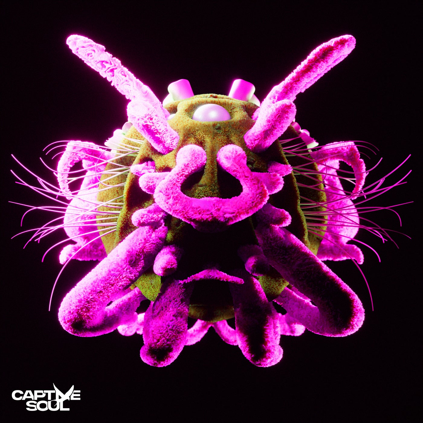 www.beatport.com