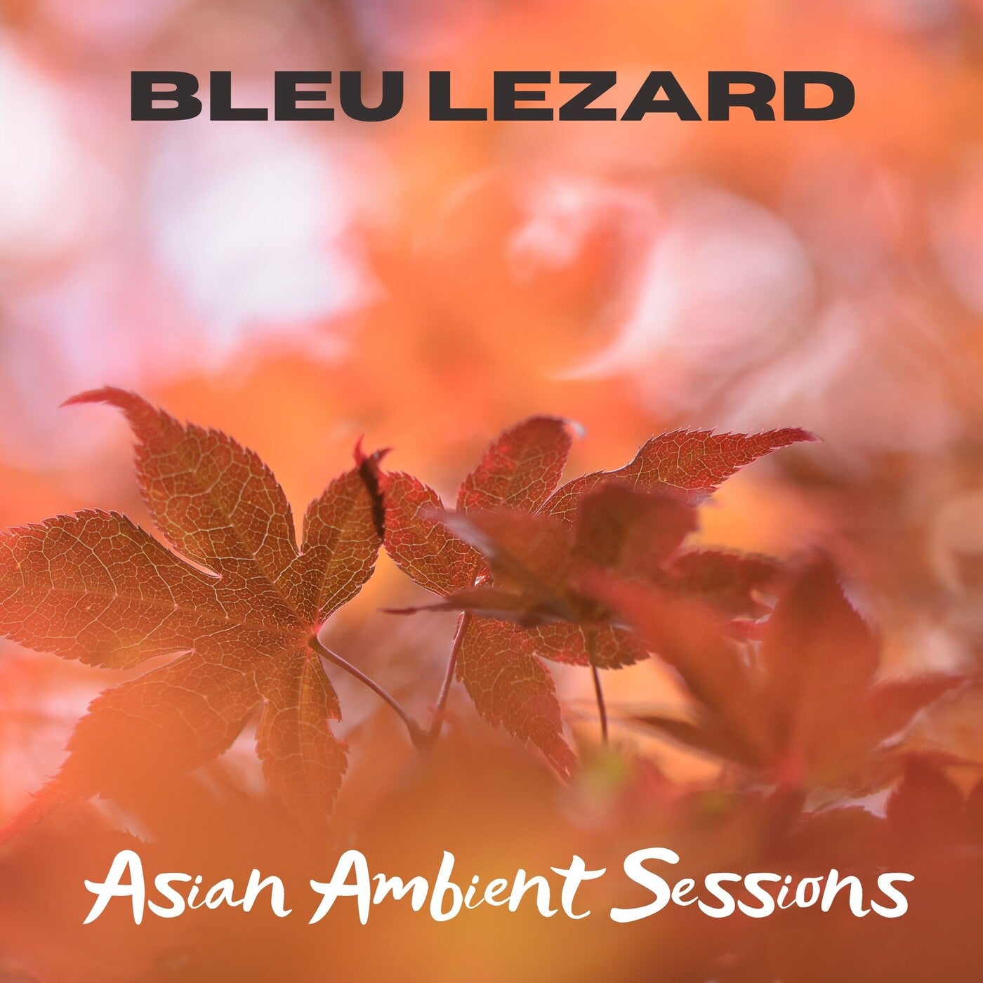 Asian Ambient Sessions