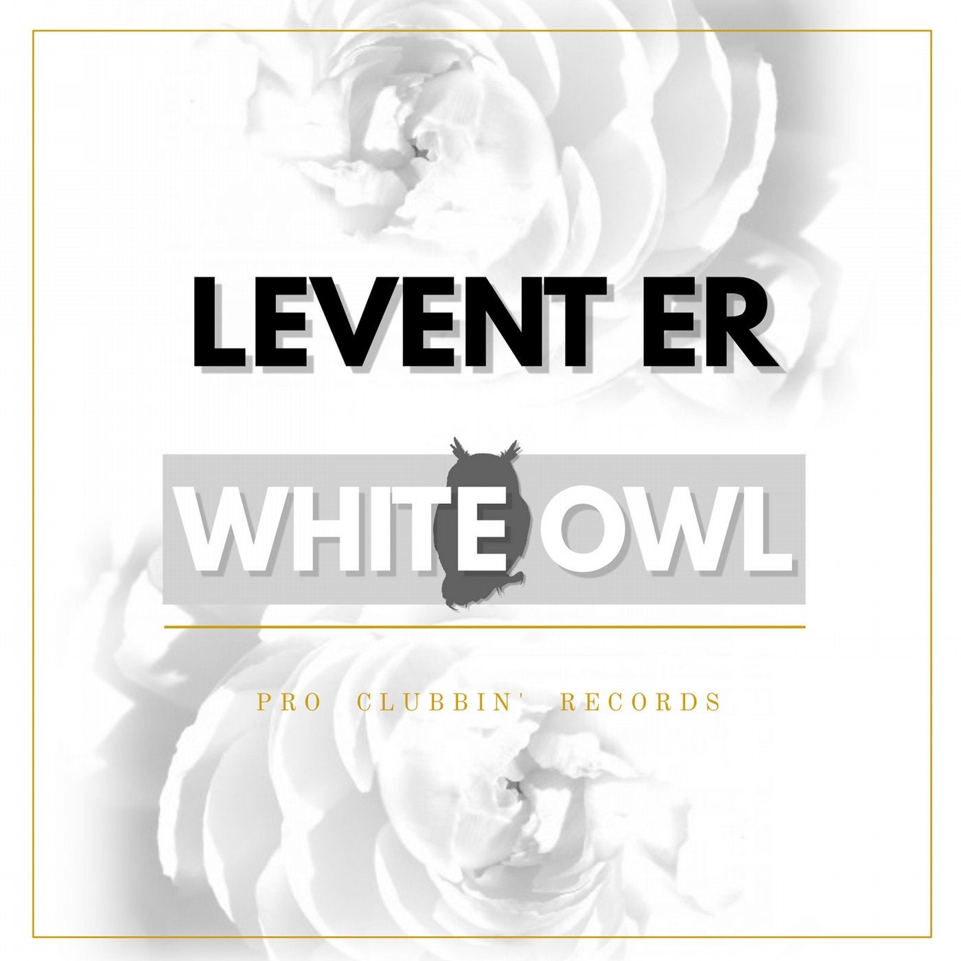 White Owl