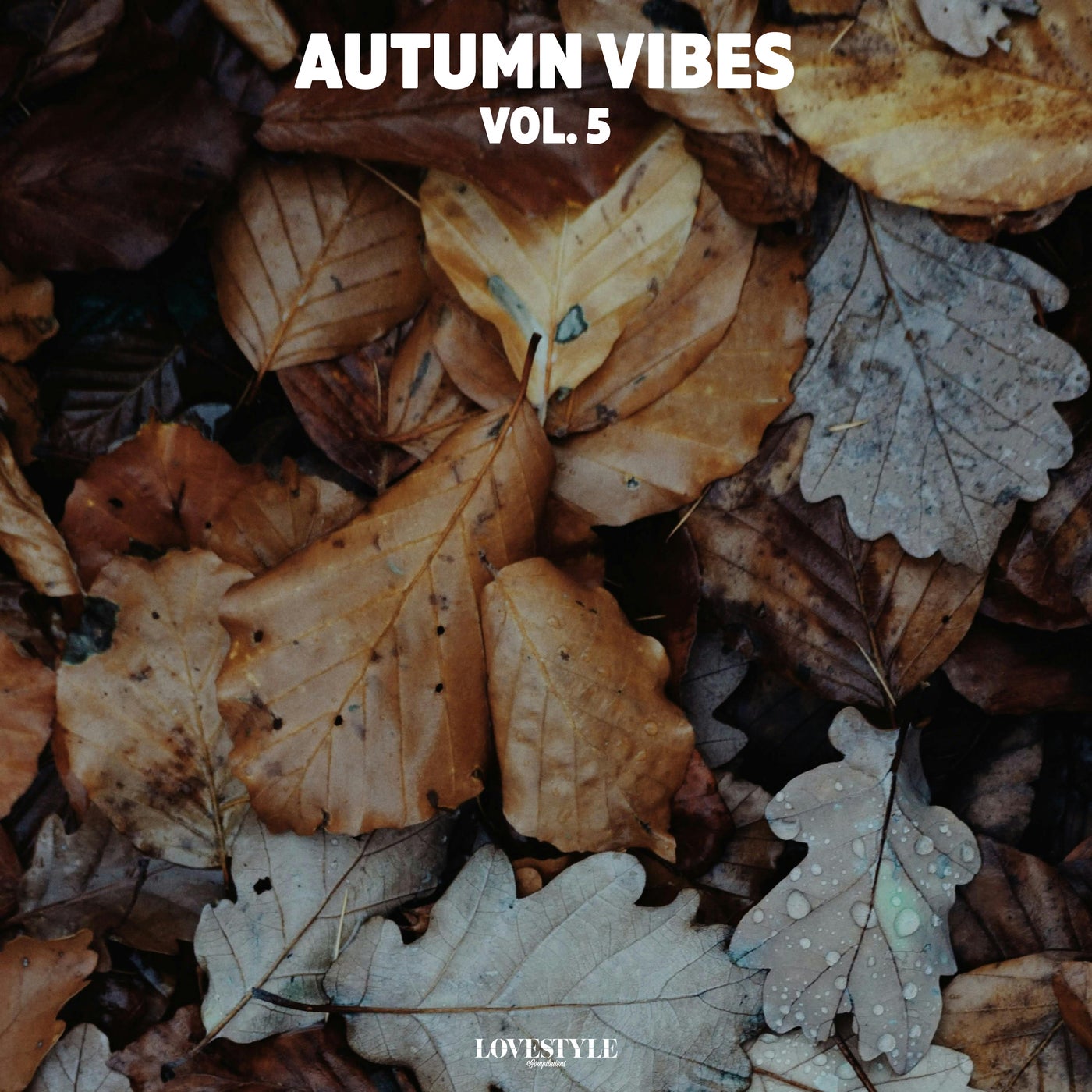 Cover art for Autumn Vibes, Vol. 5