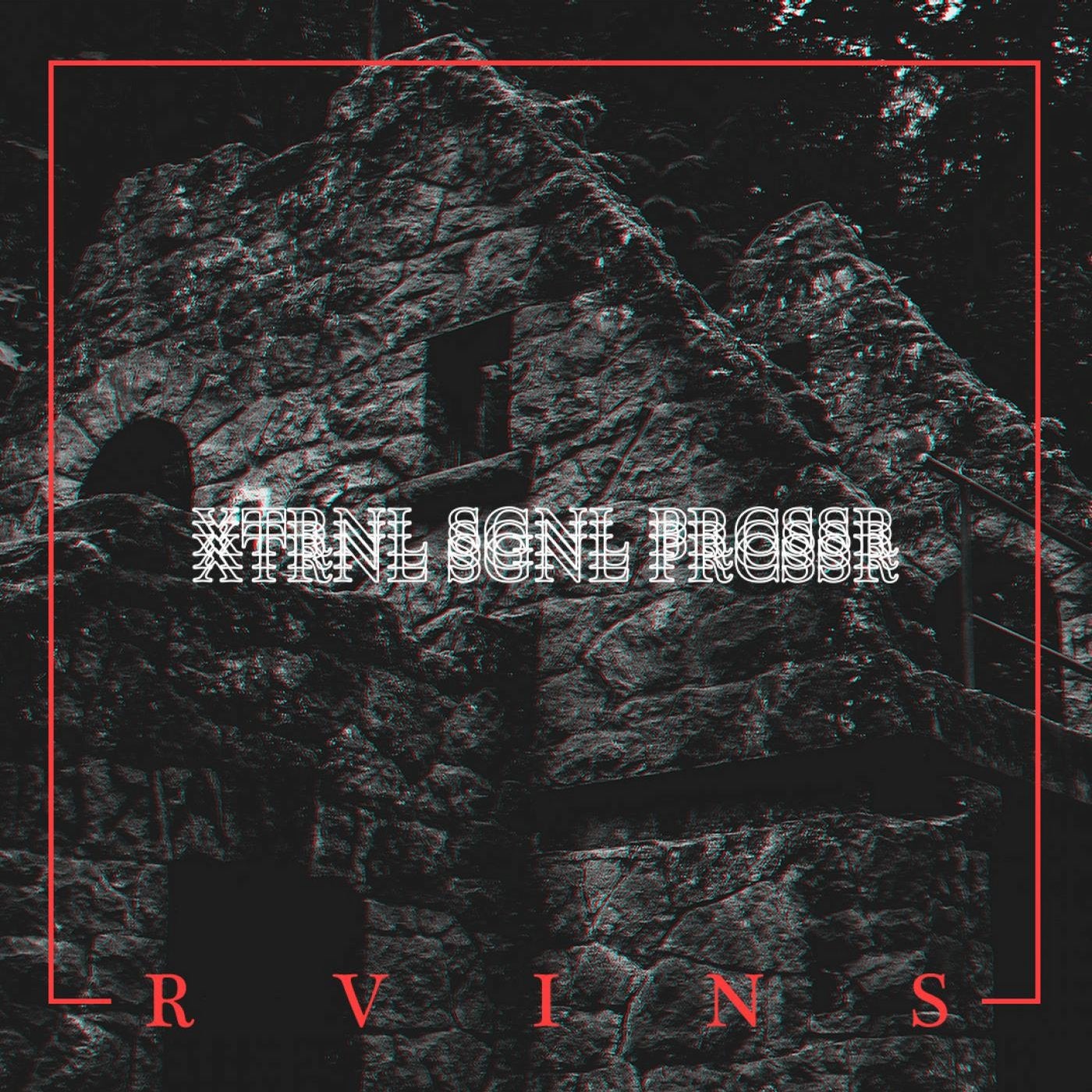 R V I N S