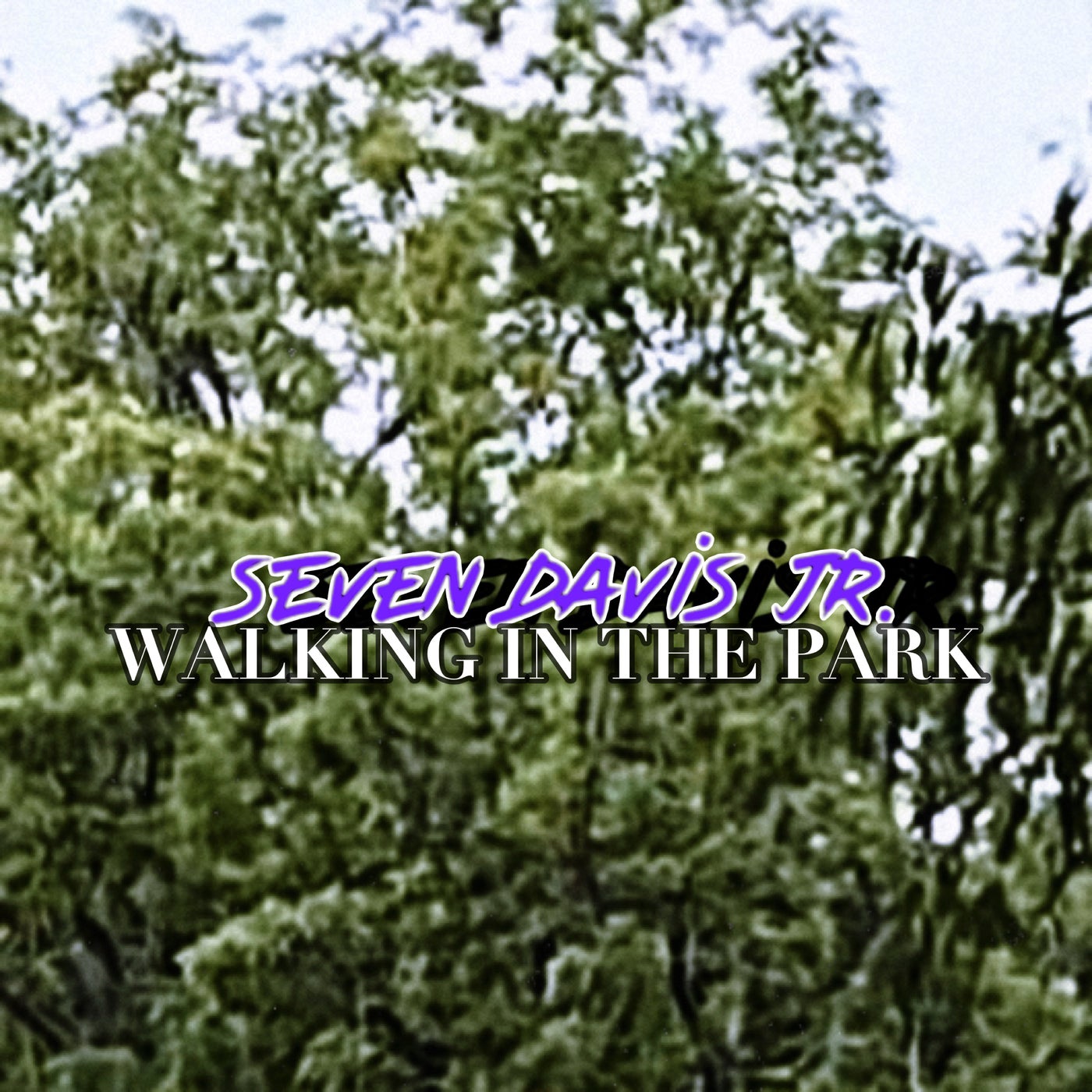 Walking In The Park