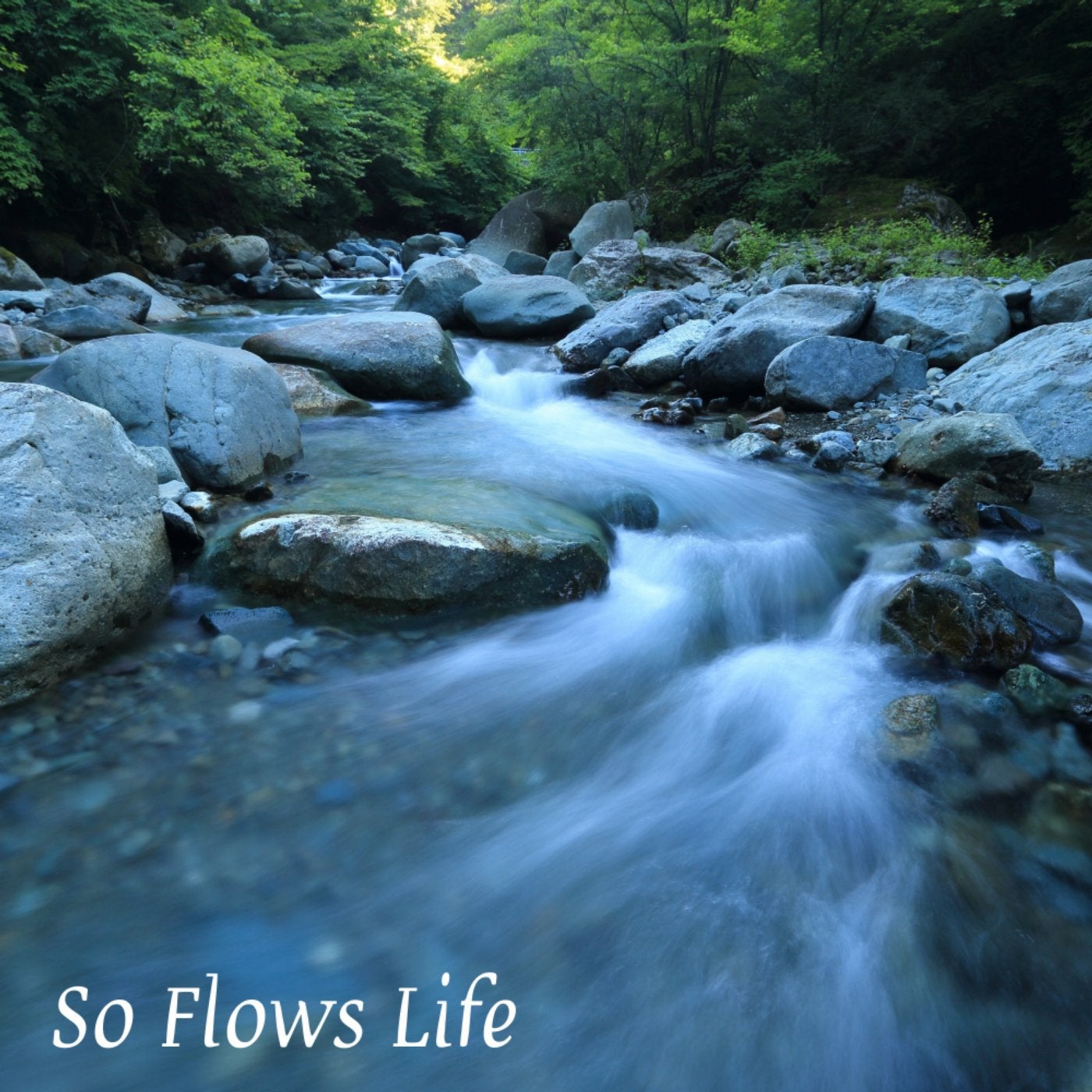 So Flows Life