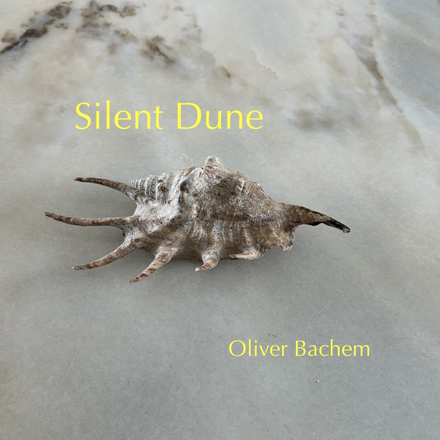 Silent Dune