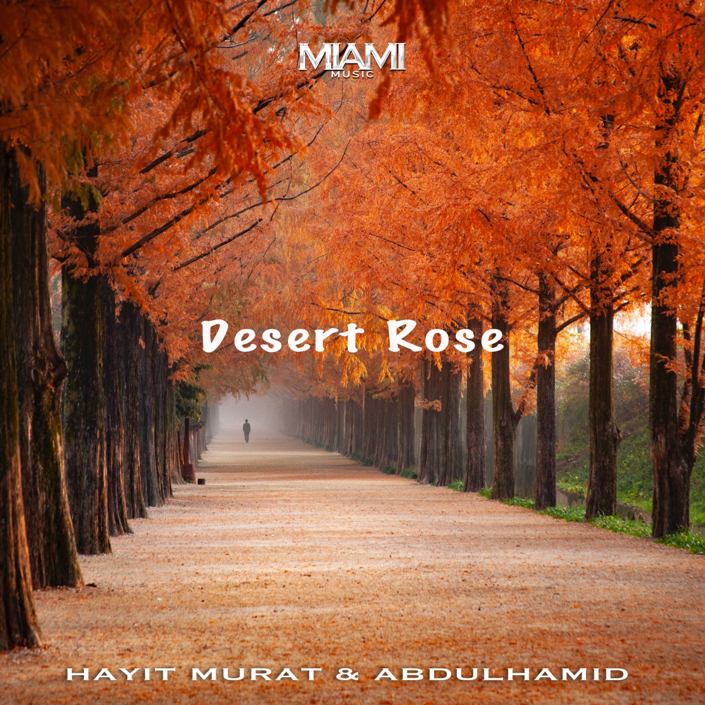 Desert Rose