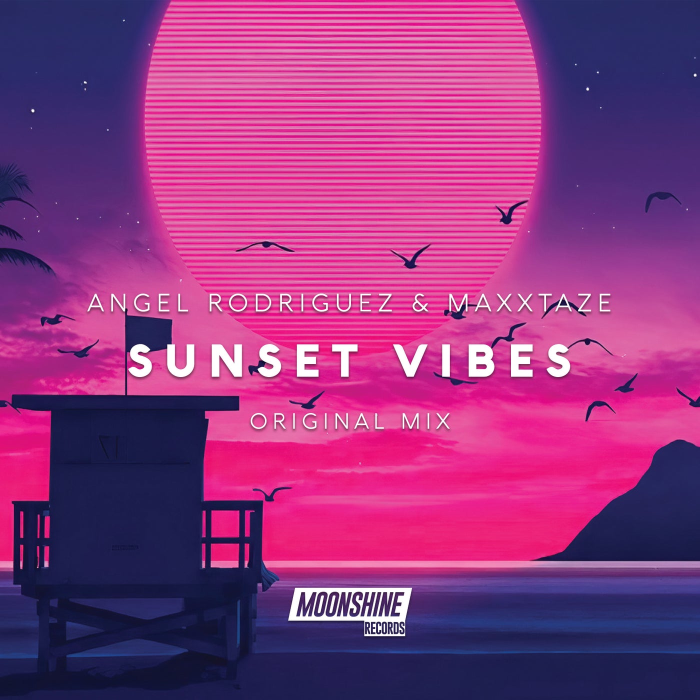 Sunset Vibes
