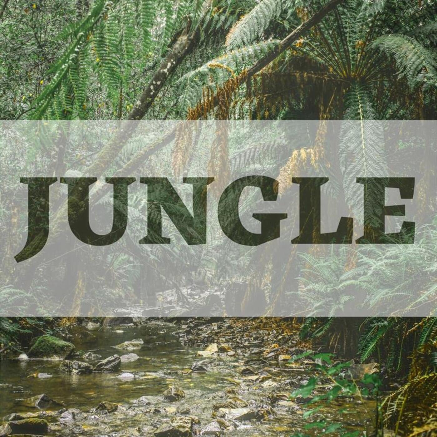 Jungle