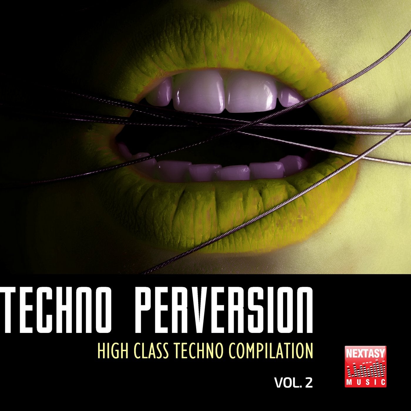 Techno Perversion, Vol. 2 (High Class Techno Compilation)