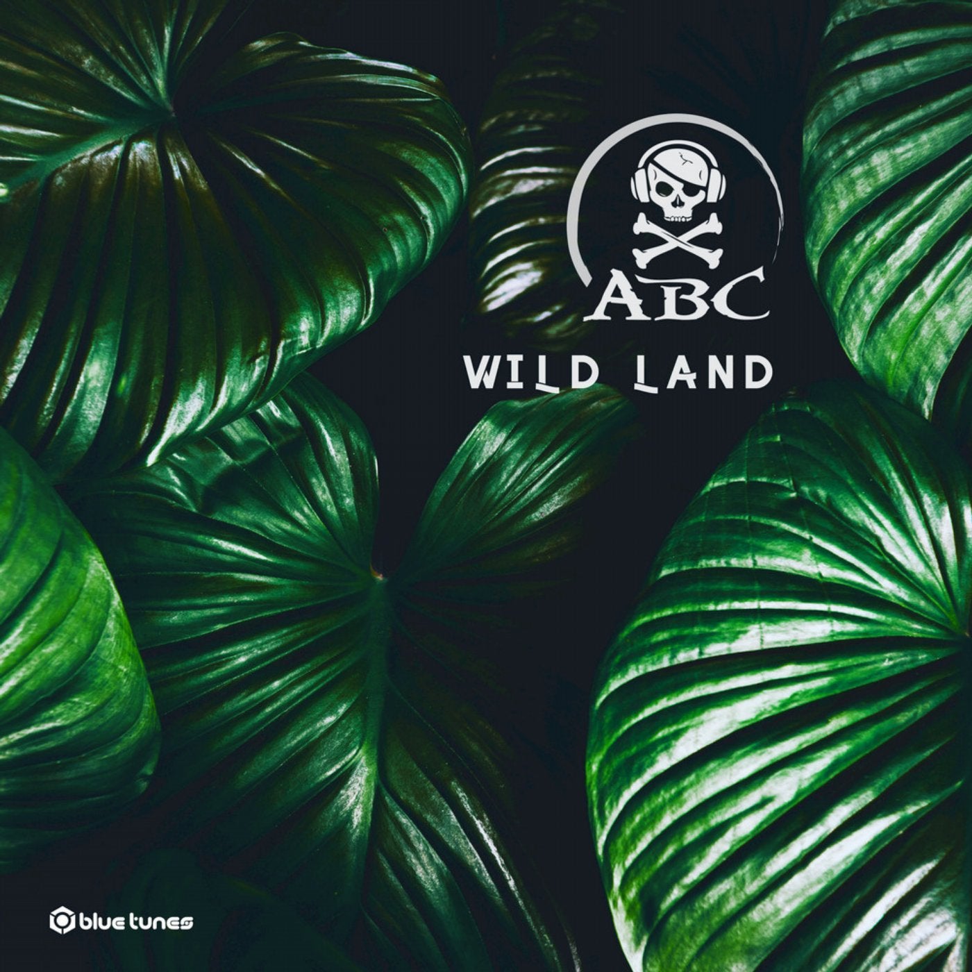 Wild Land