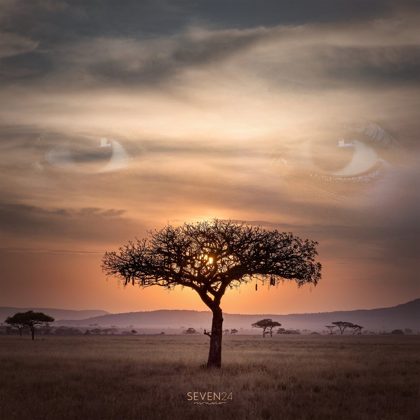 Cover art for Maasai