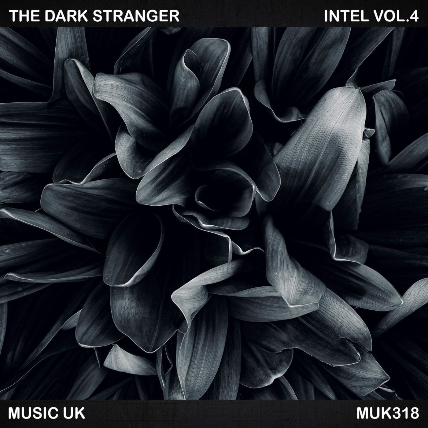 Intel Vol.4