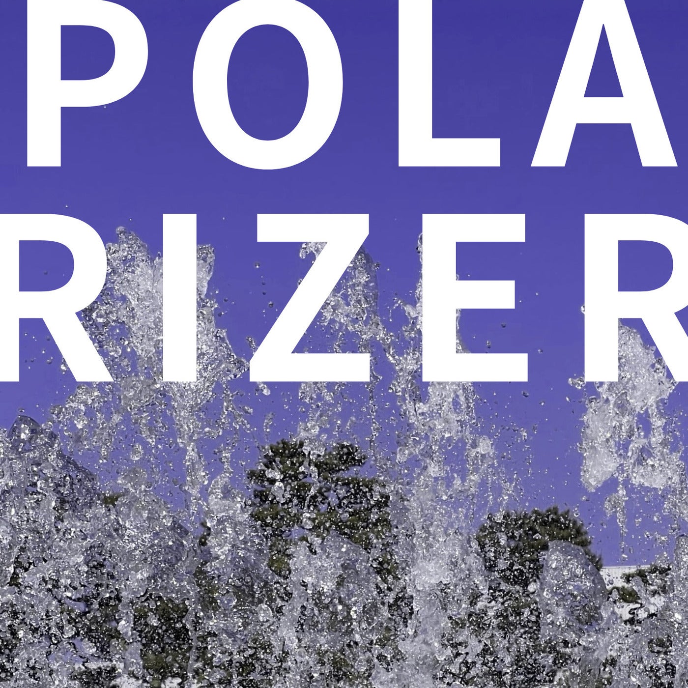 Polarizer