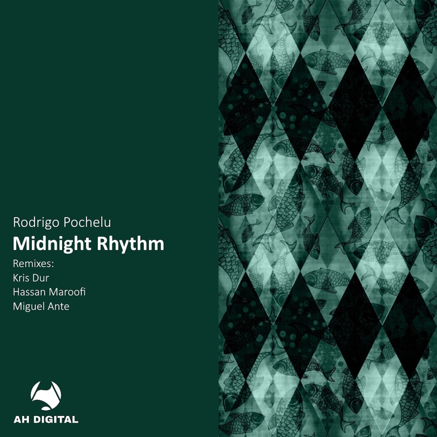 Midnight Rhythm
