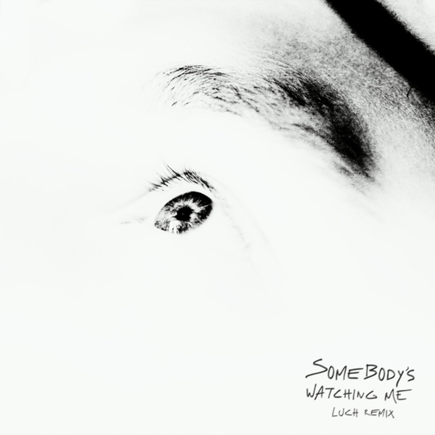 Somebody's Watching Me (Luch Extended Remix)