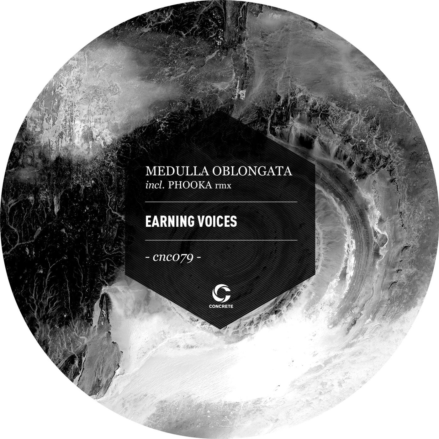 Earing Voices