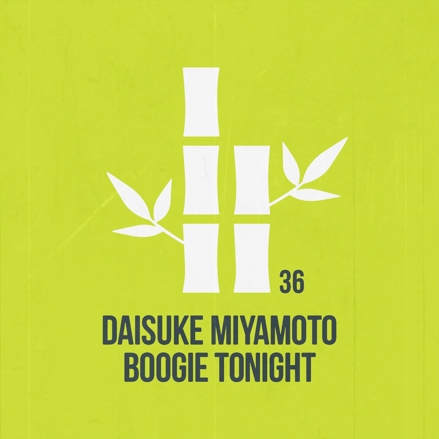 Boogie Tonight