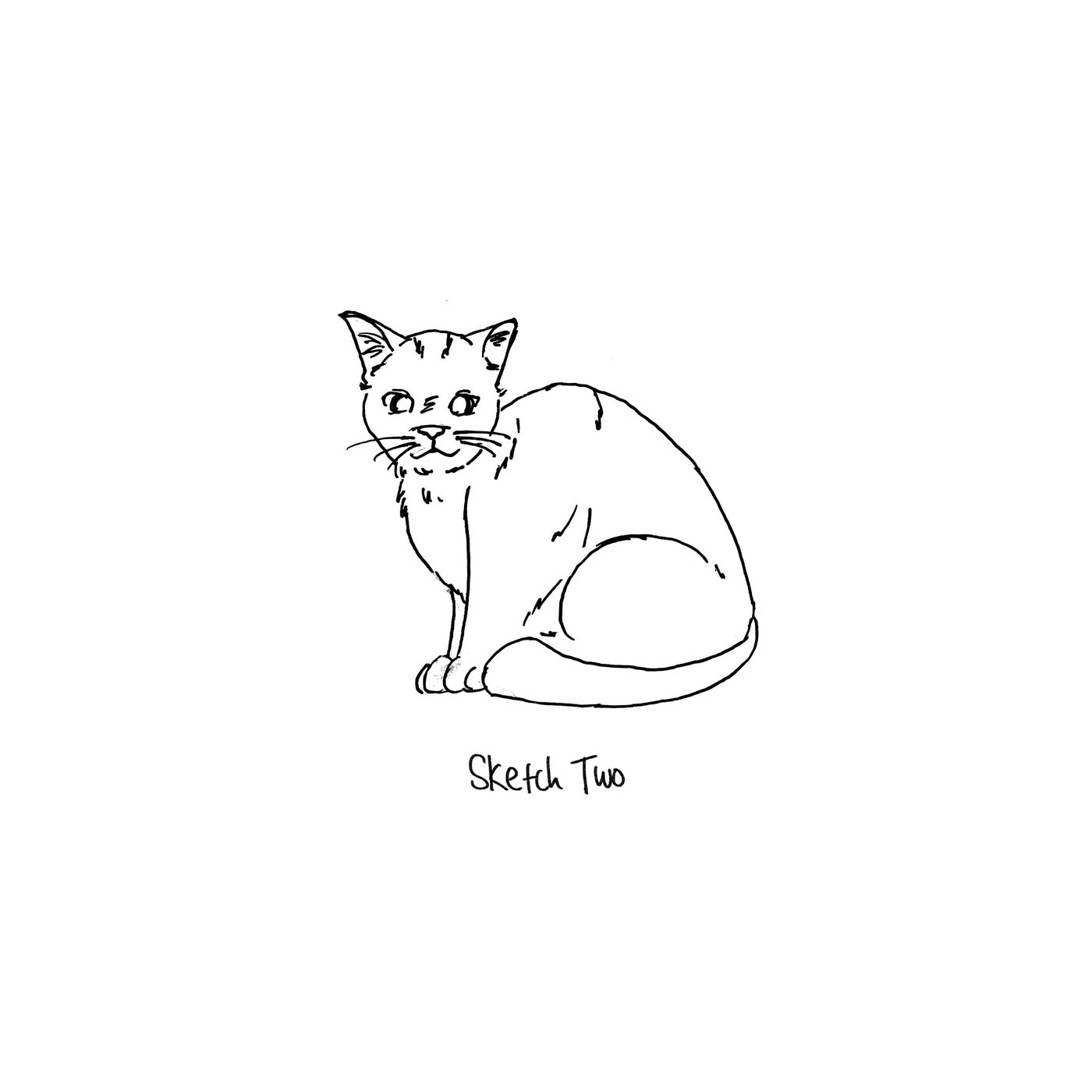 Sketch Two