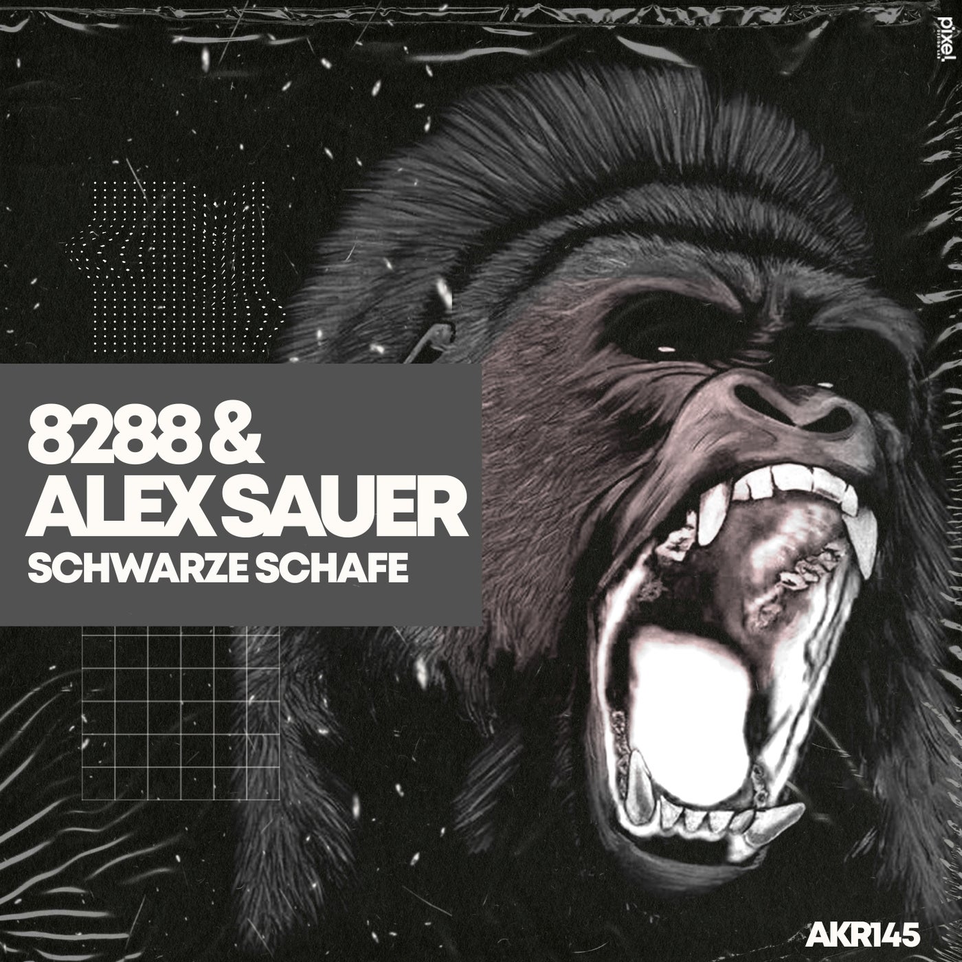 Schwarze Schafe 