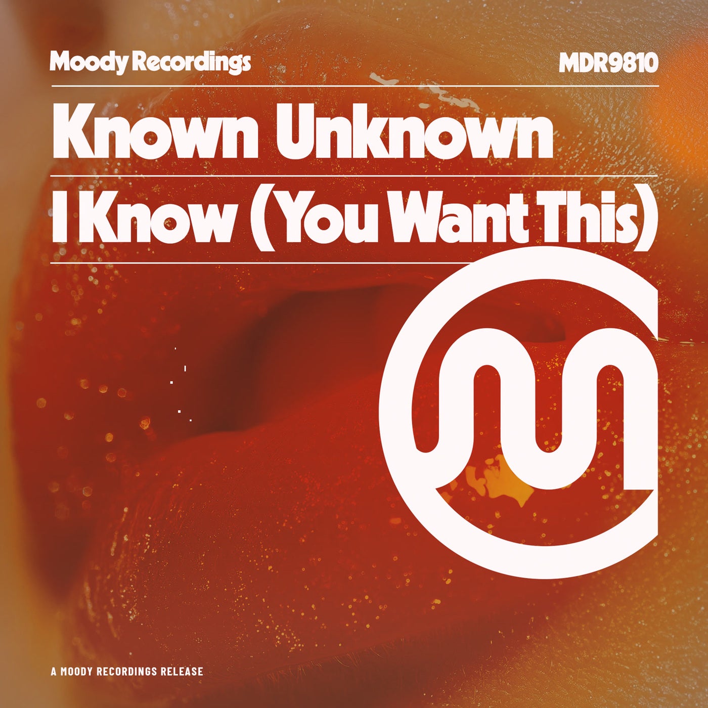I Know ( You Want This )