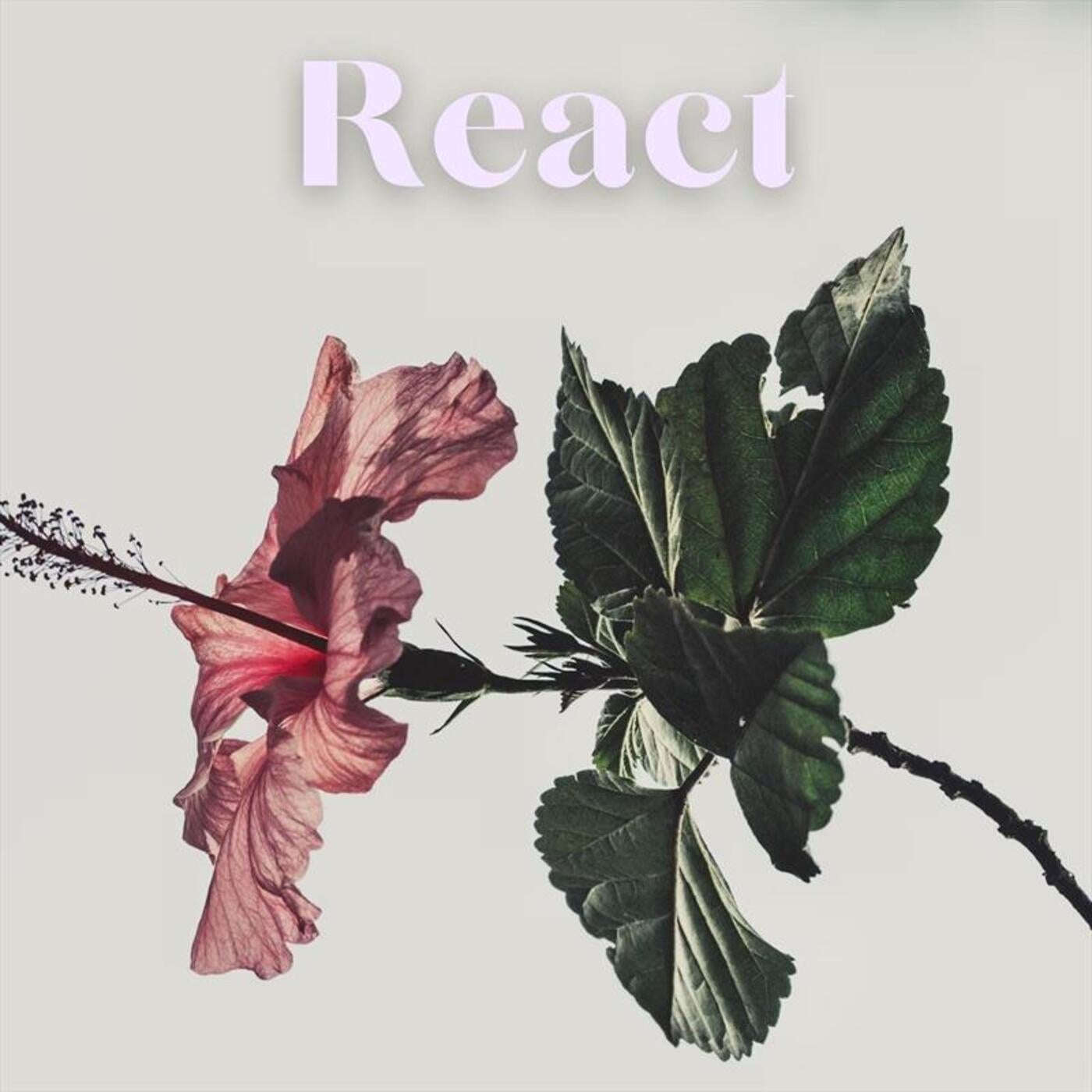 React