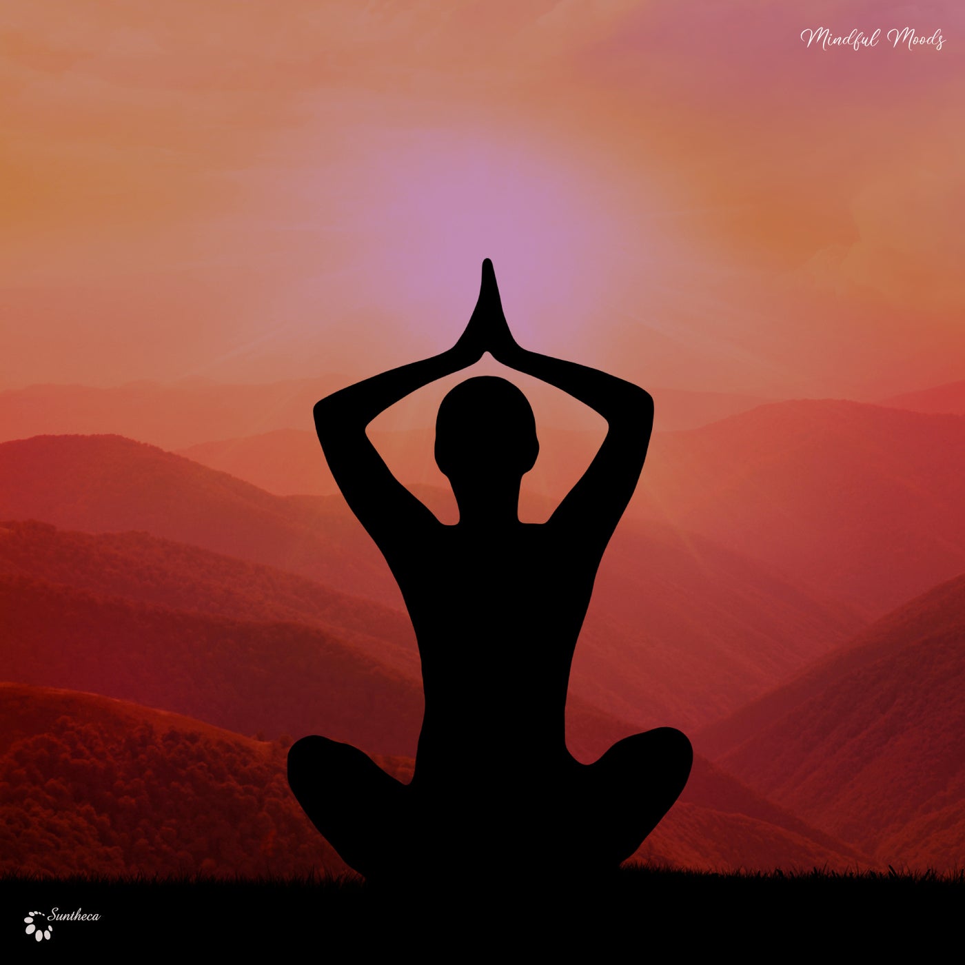 Mindful Moods