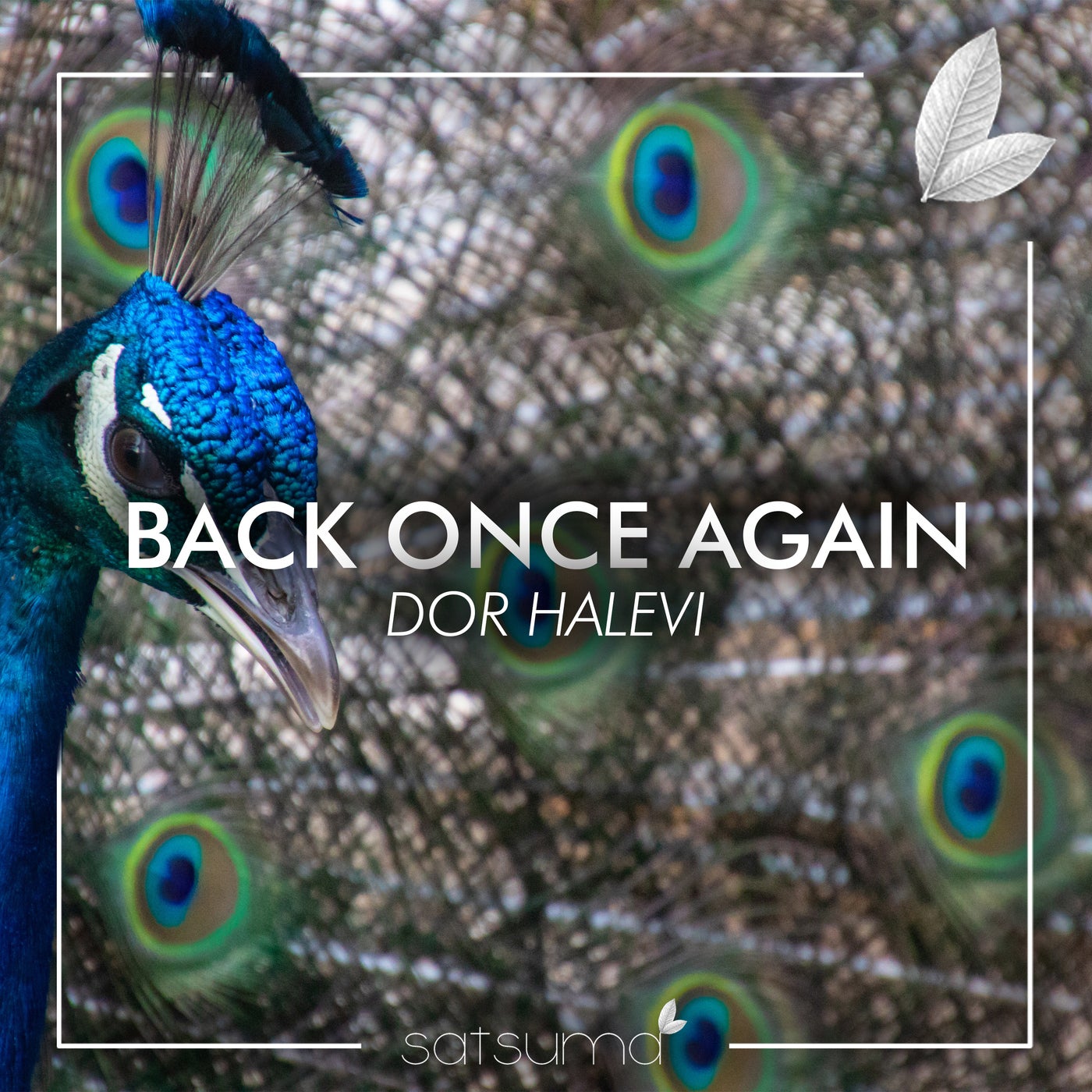 Back Once Again