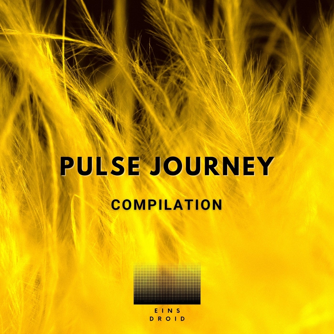 Pulse Journey