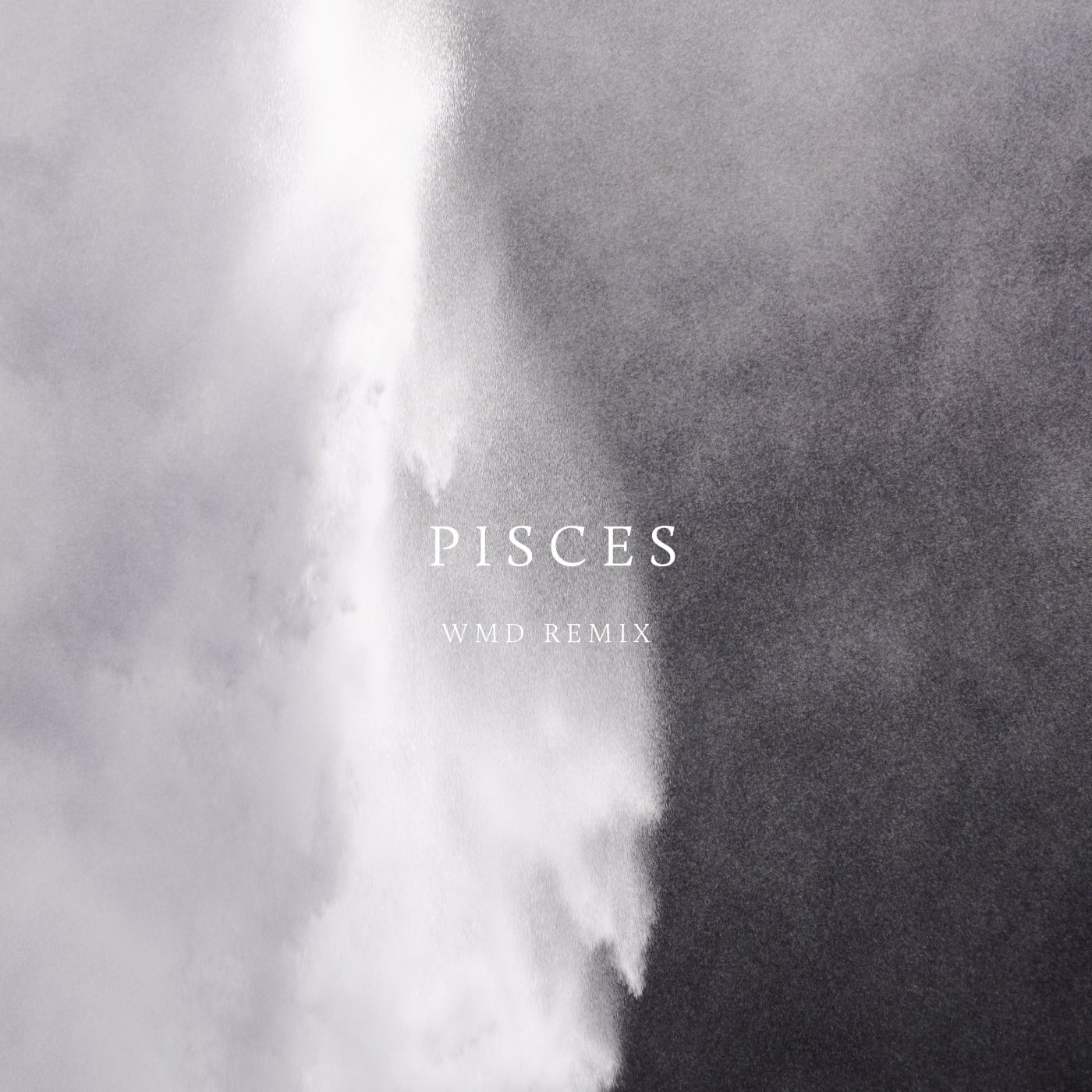 Pisces (WMD Remix)