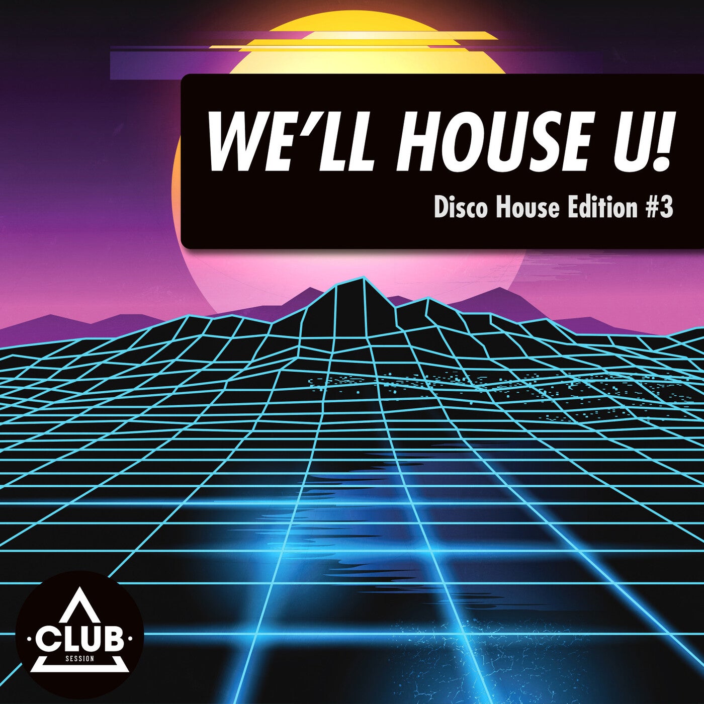 We'll House U!: Disco House Edition Vol. 3