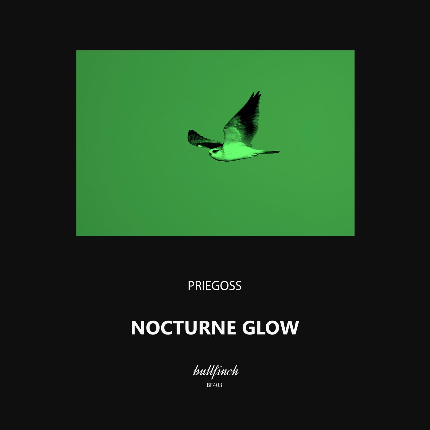 Nocturne Glow